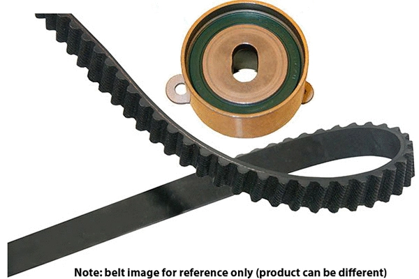 Timing Belt Kit (DKT-2031)