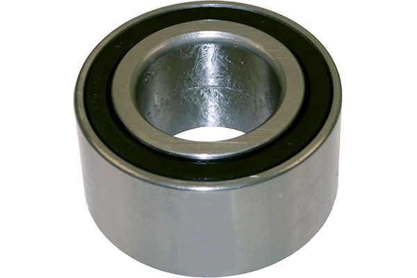 Wheel Bearing (WB-2001)