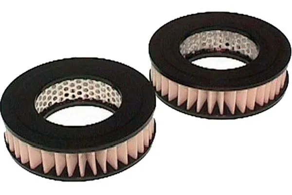 Air Filter (TA-177)