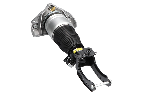 Air Suspension Strut (SAS-10048)