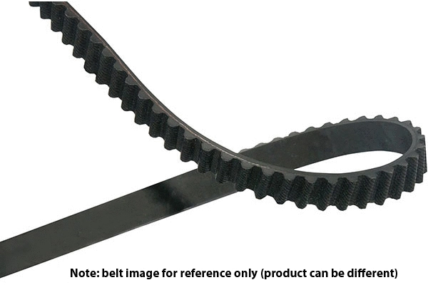 Timing Belt (DTB-5552)