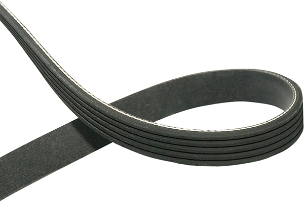 V-Ribbed Belt (DMV-5552)
