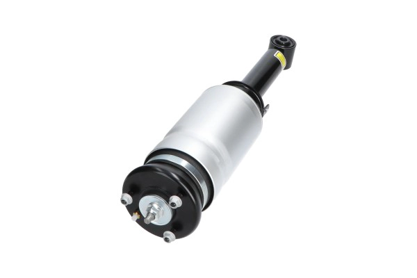 Air Suspension Strut