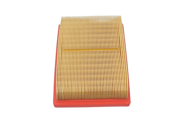 Air Filter (TA-1160)