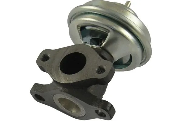 EGR Valve (EEG-3009)
