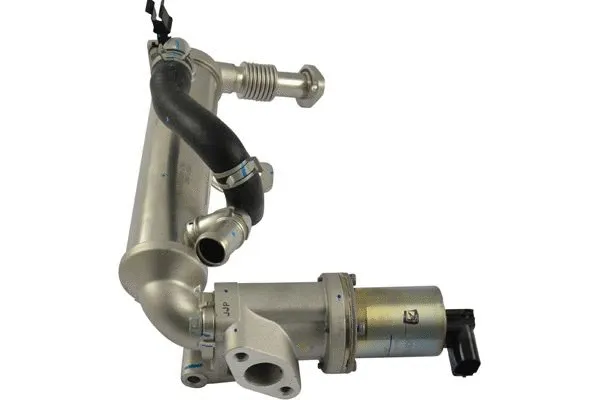 EGR Valve (EEG-3031)