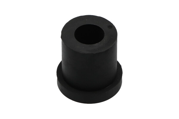 Bushing, leaf spring