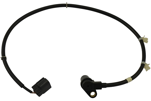 Sensor, wheel speed (BAS-5581)