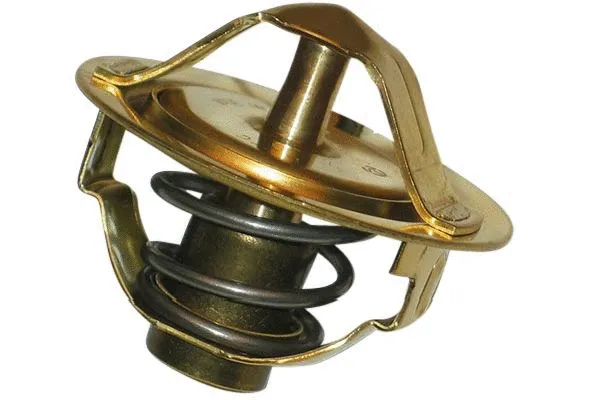 Thermostat, coolant (TH-5001)