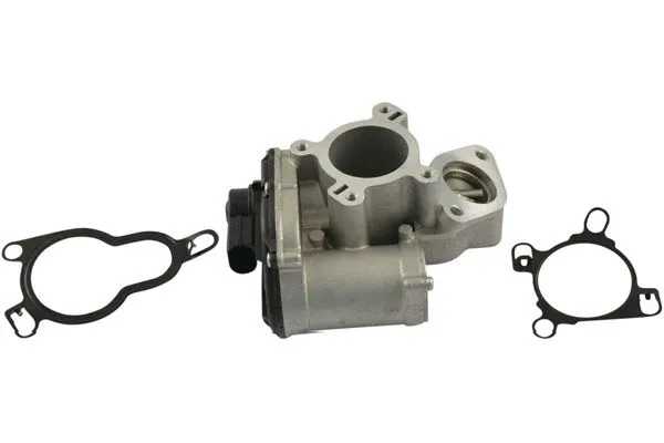 EGR Valve (EEG-6501)