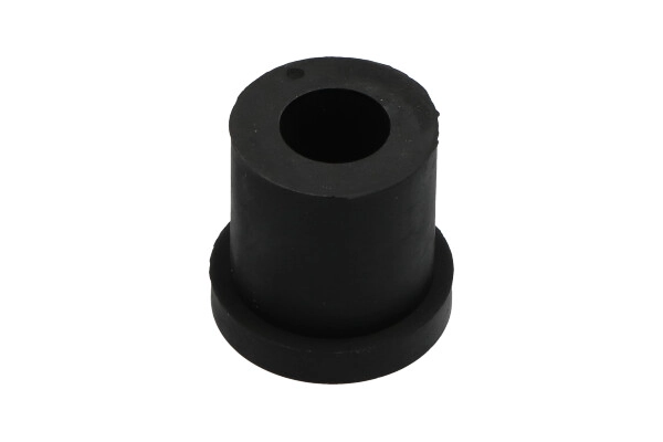 Bushing, leaf spring