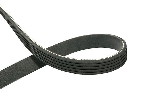 V-Ribbed Belt (DMV-5555)