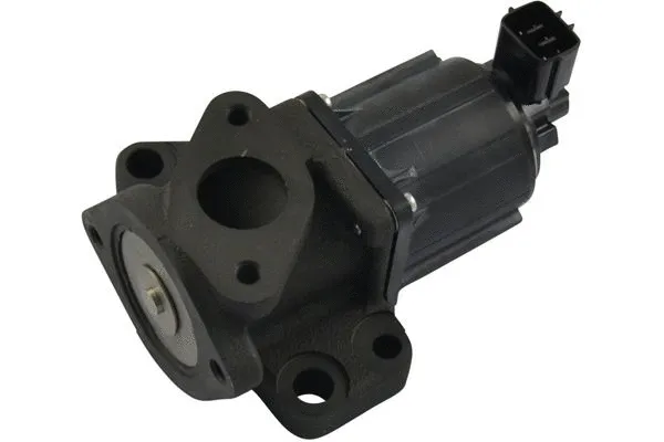 EGR Valve (EEG-4503)