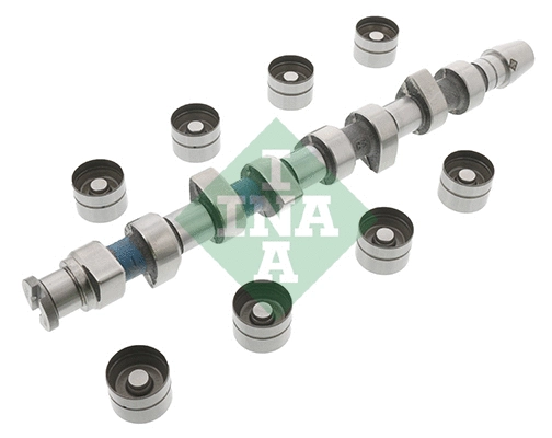 Camshaft Kit (428 0048 30)