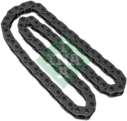 Timing Chain (553 0289 10)