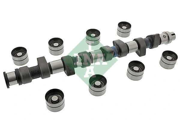 Camshaft Kit (428 0047 30)