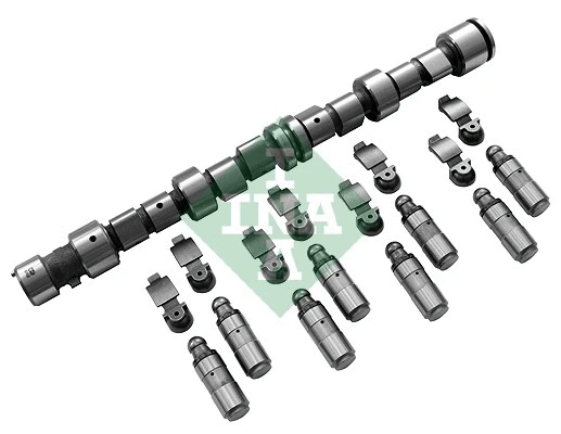 Camshaft Kit (428 0041 30)
