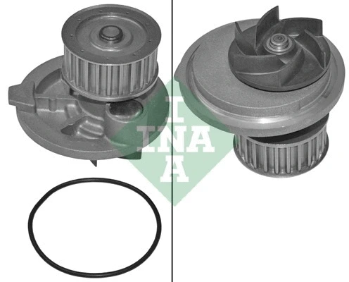 Water Pump, engine cooling (538 0131 10)