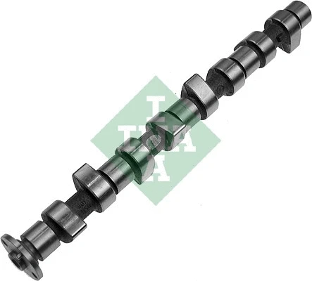 Camshaft (428 0022 10)
