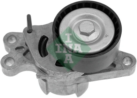Belt Tensioner, V-ribbed belt (534 0179 10)