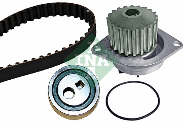 Water Pump & Timing Belt Kit (530 0252 30)