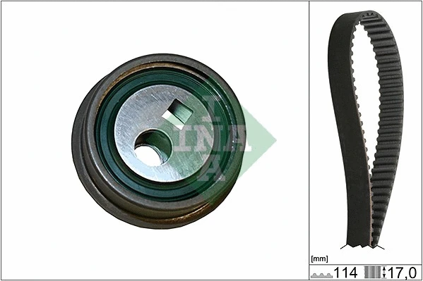 Timing Belt Kit (530 0257 10)