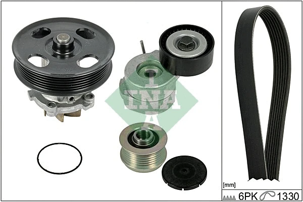 Water Pump + V-Ribbed Belt Kit (529 0042 30)