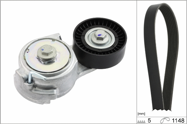 V-Ribbed Belt Set (529 0013 10)