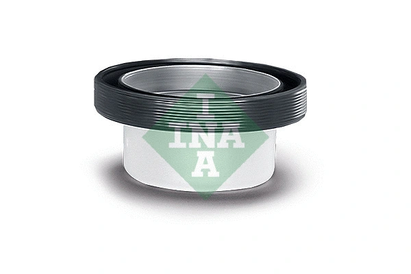 Shaft Seal, camshaft (413 0408 10)
