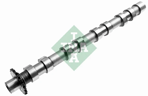 Camshaft (428 0160 10)