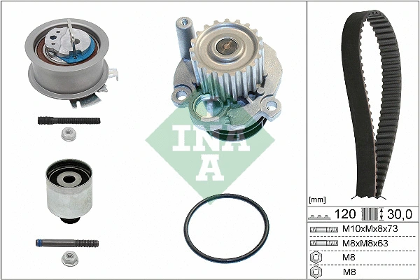 Water Pump & Timing Belt Kit (530 0201 32)