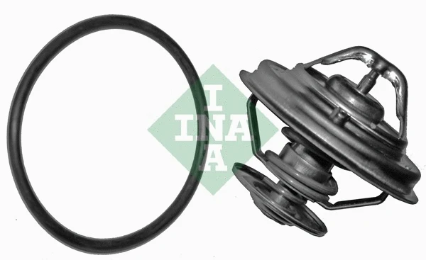 Thermostat, coolant (538 0003 20)