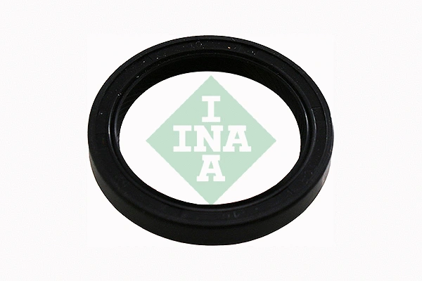 Shaft Seal, camshaft (413 0410 10)