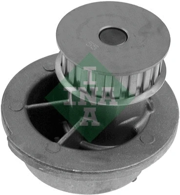 Water Pump, engine cooling (538 0313 10)