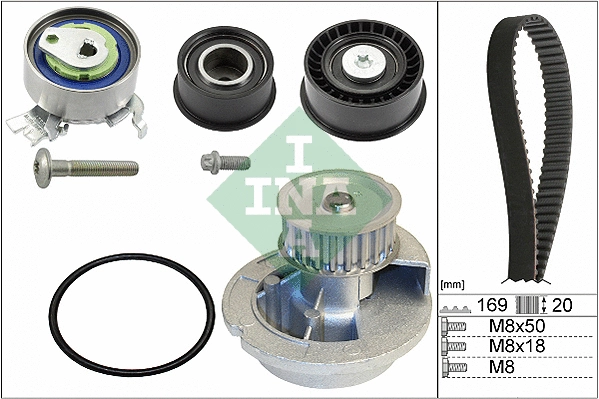 Water Pump & Timing Belt Kit (530 0078 31)