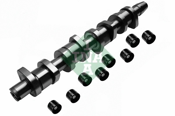 Camshaft Kit (428 0039 30)