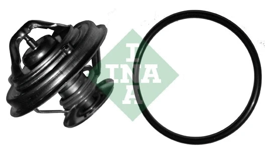 Thermostat, coolant (538 0001 20)