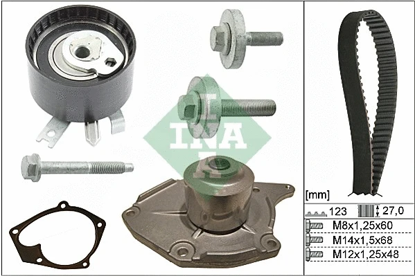Water Pump & Timing Belt Kit (530 0197 31)