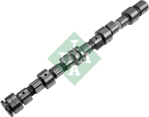 Camshaft (428 0058 10)