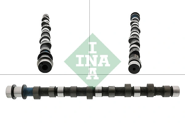 Camshaft (428 0129 10)