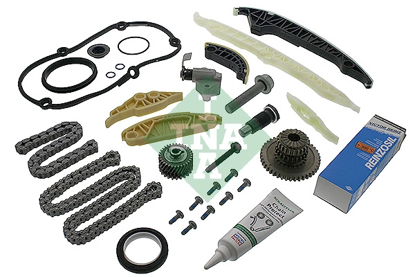 Timing Chain Kit (559 0196 41)
