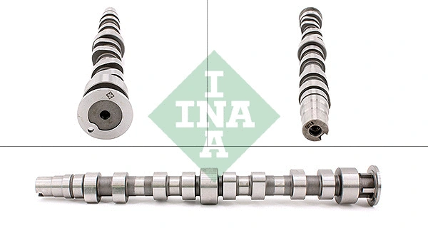 Camshaft (428 0172 10)