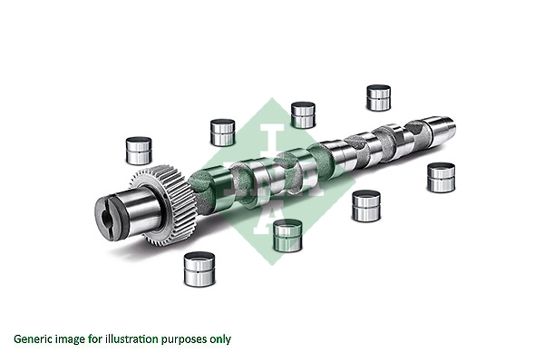 Camshaft Kit (428 0022 30)
