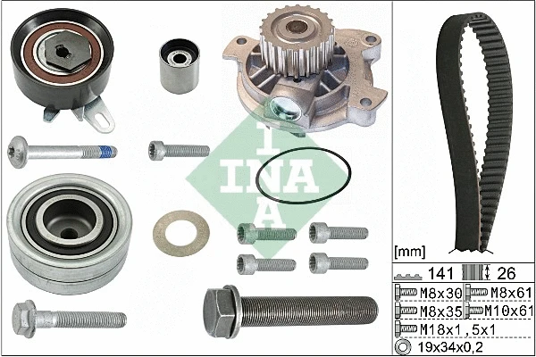 Water Pump & Timing Belt Kit (530 0482 30)