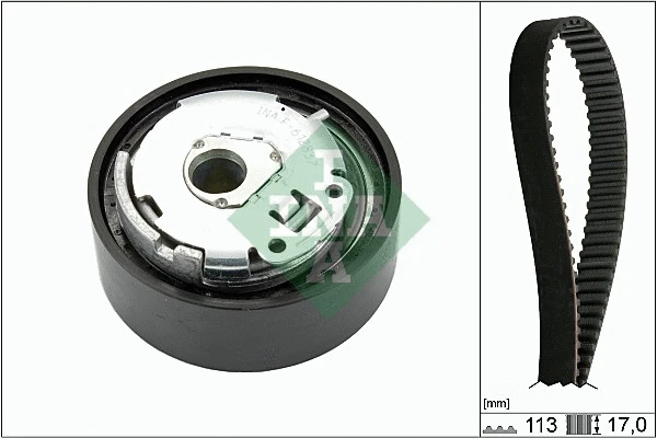 Timing Belt Kit (530 0663 10)