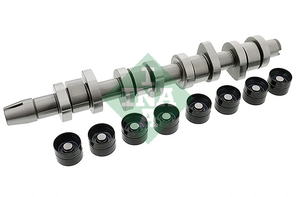 Camshaft Kit (428 0042 30)