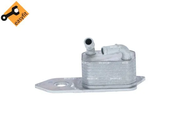 Oil Cooler, engine oil (31795)