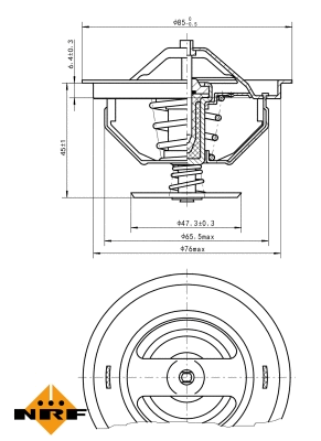 Thermostat, coolant (725198)