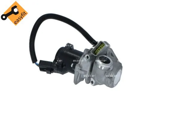 EGR Valve (48385)