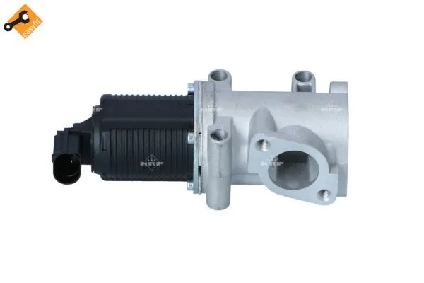 EGR Valve (48396)
